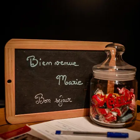 Des Alsaciennes - De 400 Ans D'histoire - Loft Cosy - Strasbourg A 20 Min - 2 Velos Disponibles Daire *