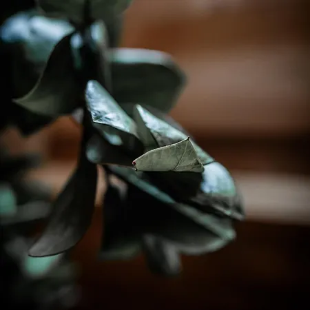 Daire Des Alsaciennes - De 400 Ans D'histoire - Loft Cosy - Strasbourg A 20 Min - 2 Velos Disponibles