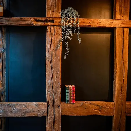 Chez Elena - Loft, Maison De 400 Ans - 2 Velos - Coeur De L'alsace Lägenhet Dachstein