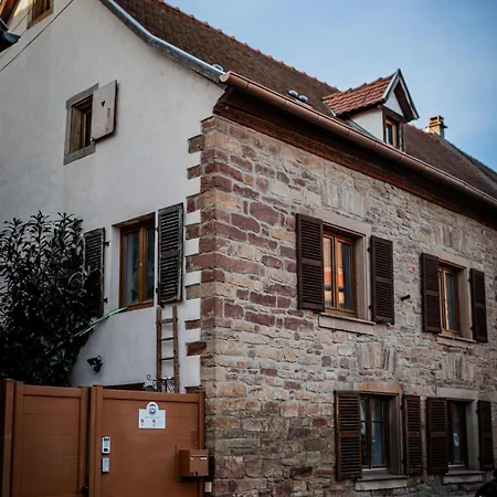 Chez Elena - Loft, Maison De 400 Ans - 2 Velos - Coeur De L'alsace * Dachstein