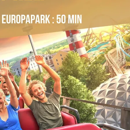 Des Alsaciennes - De 400 Ans D'histoire - Loft Cosy - Strasbourg A 20 Min - 2 Velos Disponibles Daire Dachstein