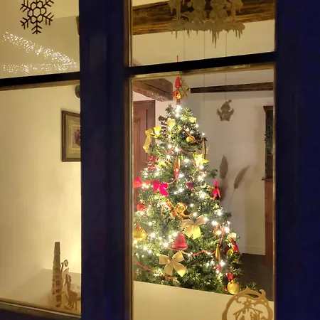 Chez Elena - Loft, Maison De 400 Ans - 2 Velos - Coeur De L'alsace Lägenhet *