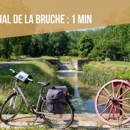 Daire Des Alsaciennes - De 400 Ans D'histoire - Loft Cosy - Strasbourg A 20 Min - 2 Velos Disponibles Dachstein