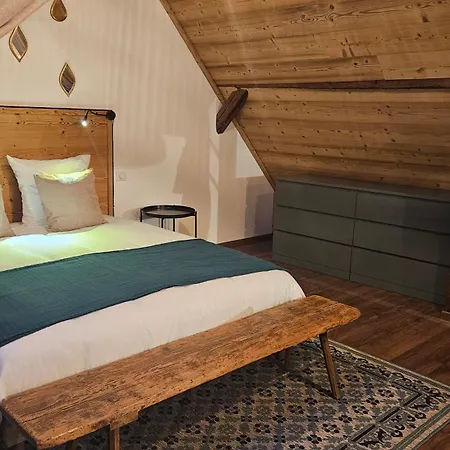 Daire Des Alsaciennes - De 400 Ans D'histoire - Loft Cosy - Strasbourg A 20 Min - 2 Velos Disponibles