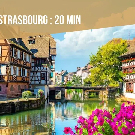 Daire Des Alsaciennes - De 400 Ans D'histoire - Loft Cosy - Strasbourg A 20 Min - 2 Velos Disponibles Dachstein