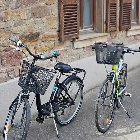 Des Alsaciennes - De 400 Ans D'histoire - Loft Cosy - Strasbourg A 20 Min - 2 Velos Disponibles Daire *