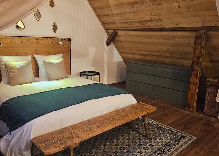 Appartement Des Alsaciennes - De 400 Ans D'histoire